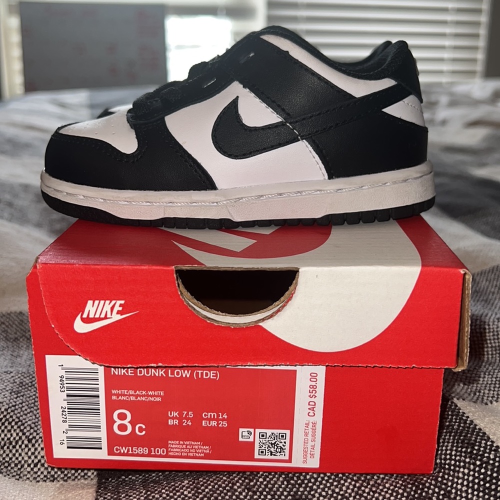 Toddler Nike Dunks